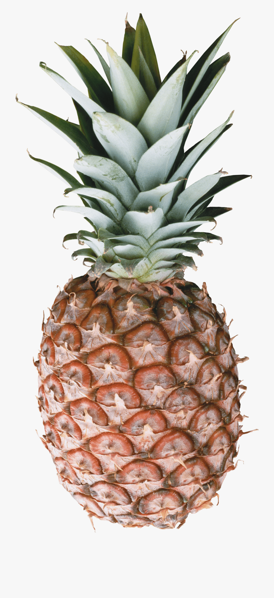 Iphone X Pineapple Case, Transparent Clipart