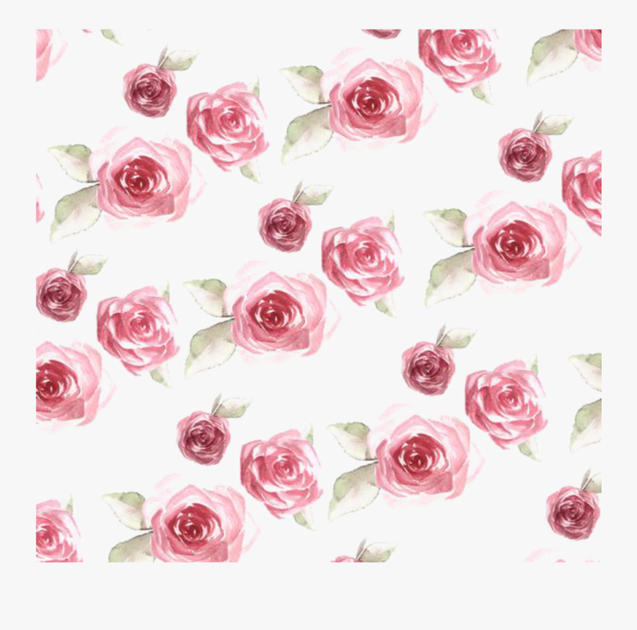 Watercolor Rose Clipart, Transparent Clipart