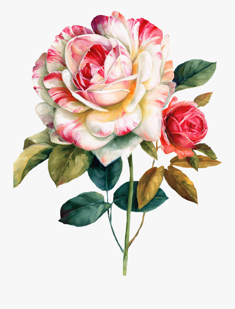 Pink And Red Roses Flower Watercolor Painting Floral, Transparent Clipart