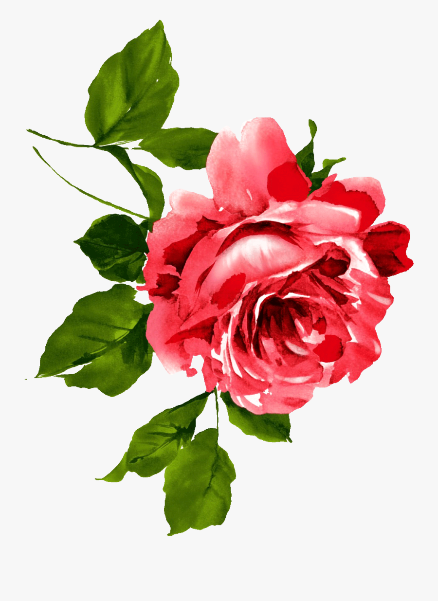Red Rose Watercolor Clipart, Transparent Clipart