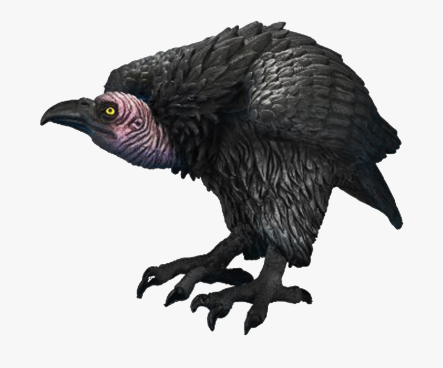 Png Of Vultures - Vulture Png, Transparent Clipart
