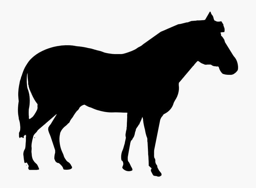 American Quarter Horse Clip Art Vector Graphics Silhouette - Silhouette Animal Horse, Transparent Clipart