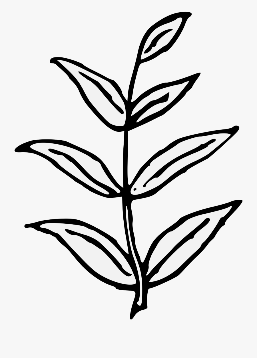 Heraldry Vector Olive Wreath, Transparent Clipart