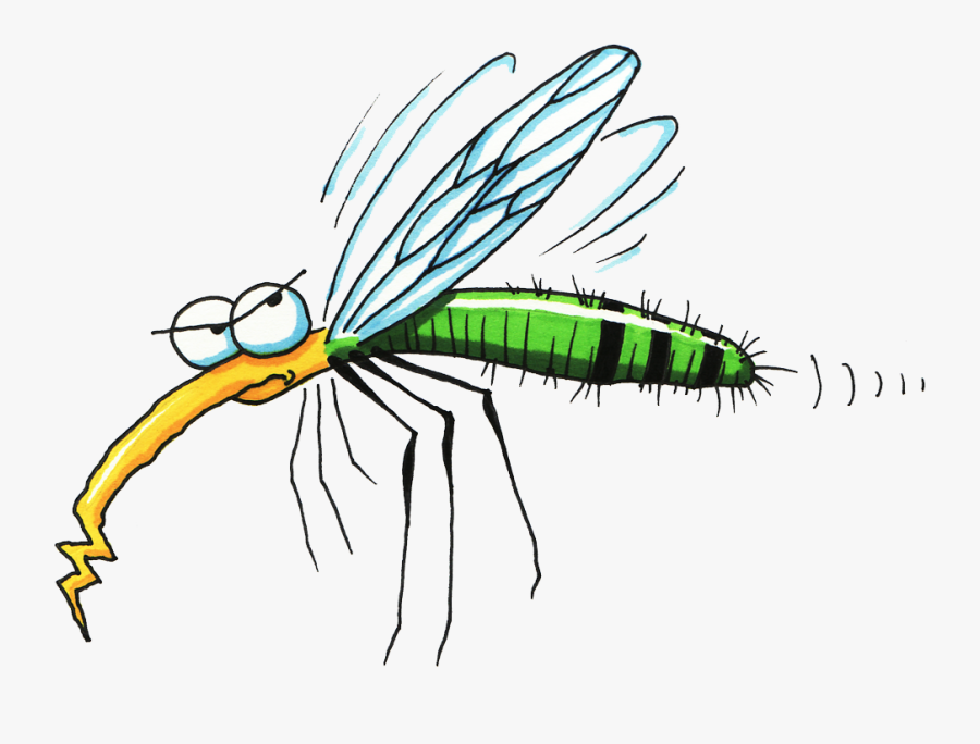 Mosquito Clipart Free , Png Download, Transparent Clipart