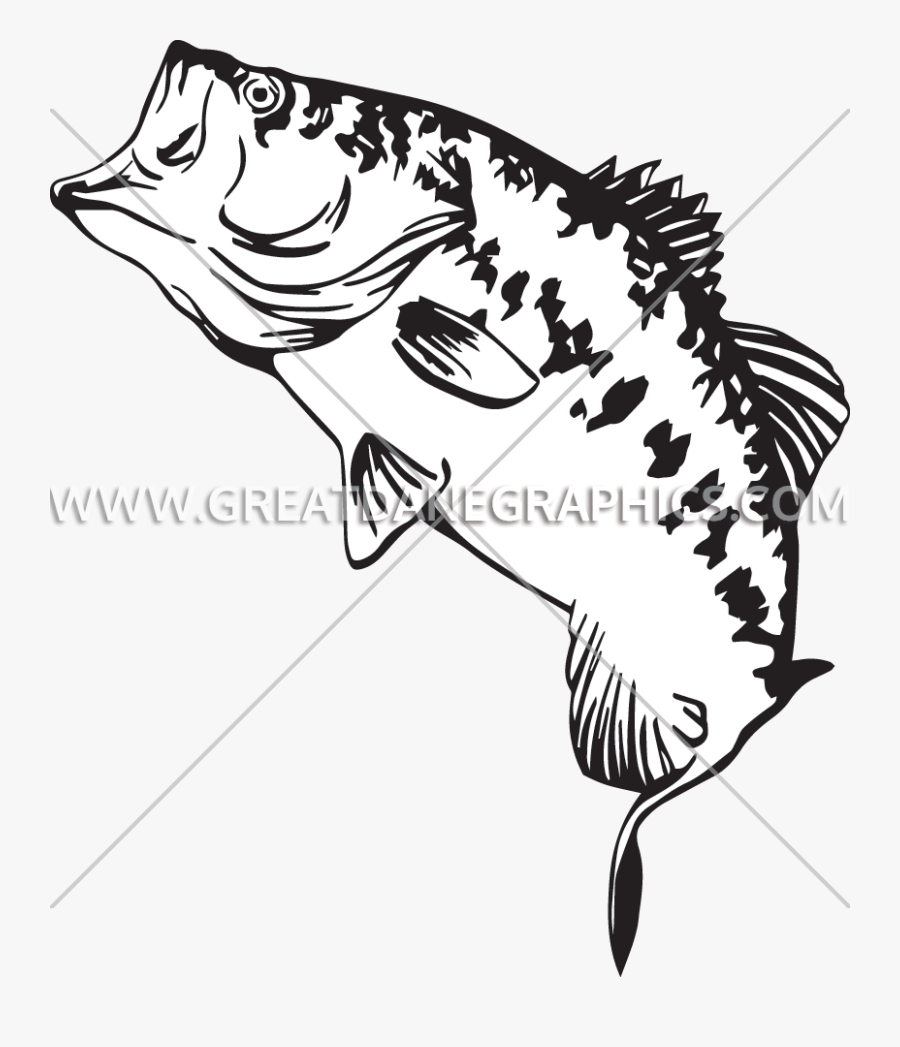 Fishing Clipart Smallmouth Bass - Large Mouth Bass Easy Drawing, Transparent Clipart