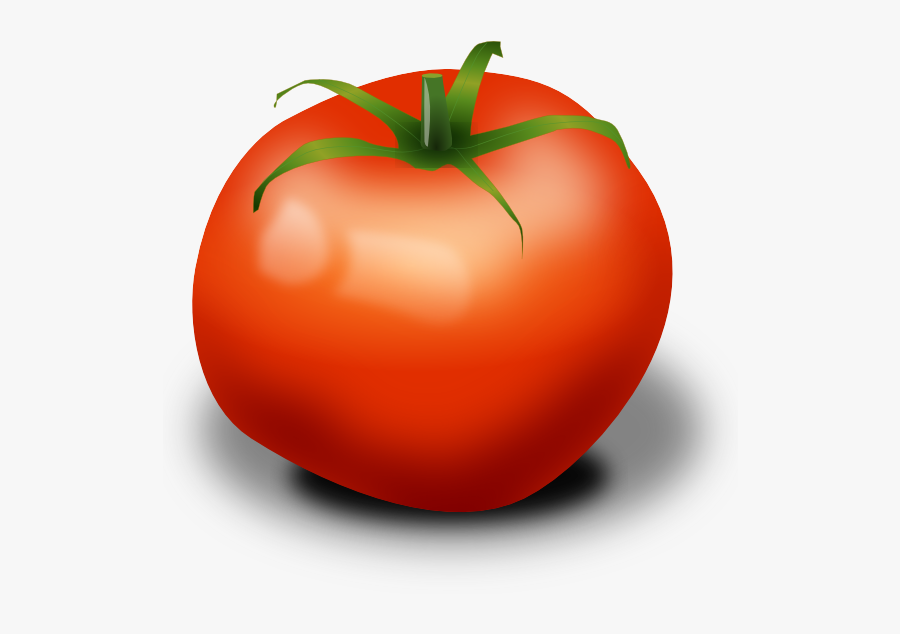 Tomatoes Clipart Transparent Background, Transparent Clipart