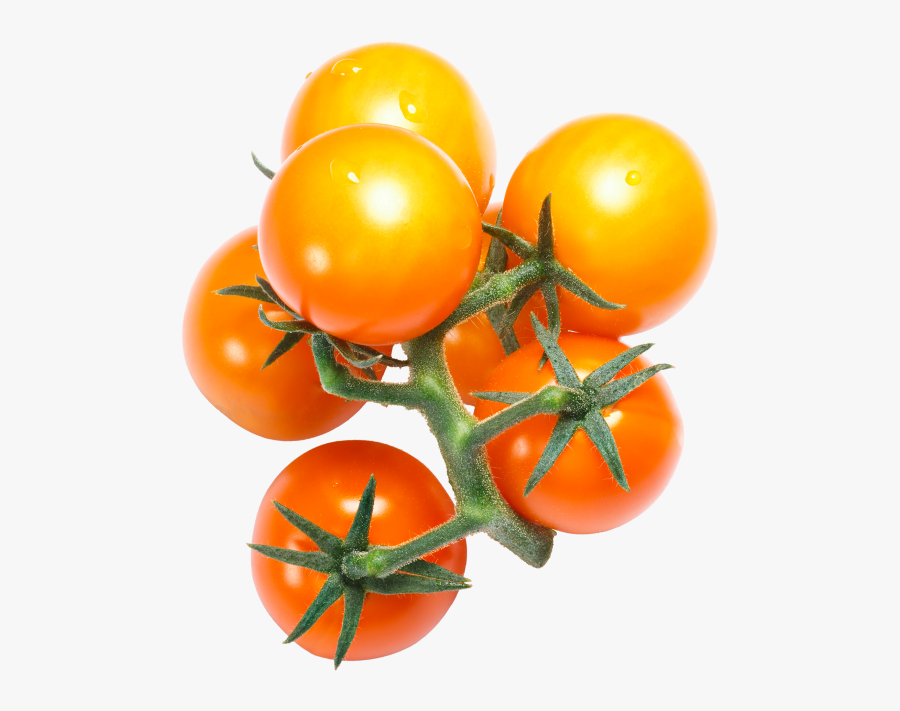 Cherry Tomato, Transparent Clipart