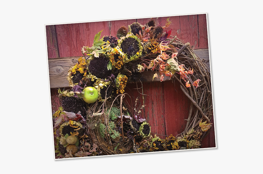 Image Of A Autumn Harvest Wreath - Chrysanths, Transparent Clipart