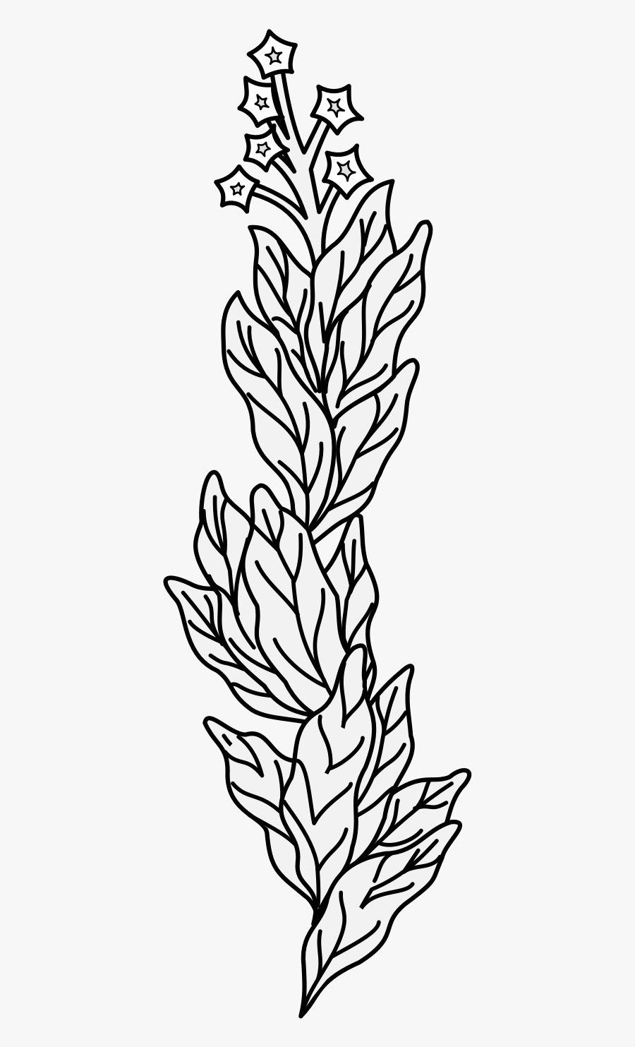 Line Art, Transparent Clipart