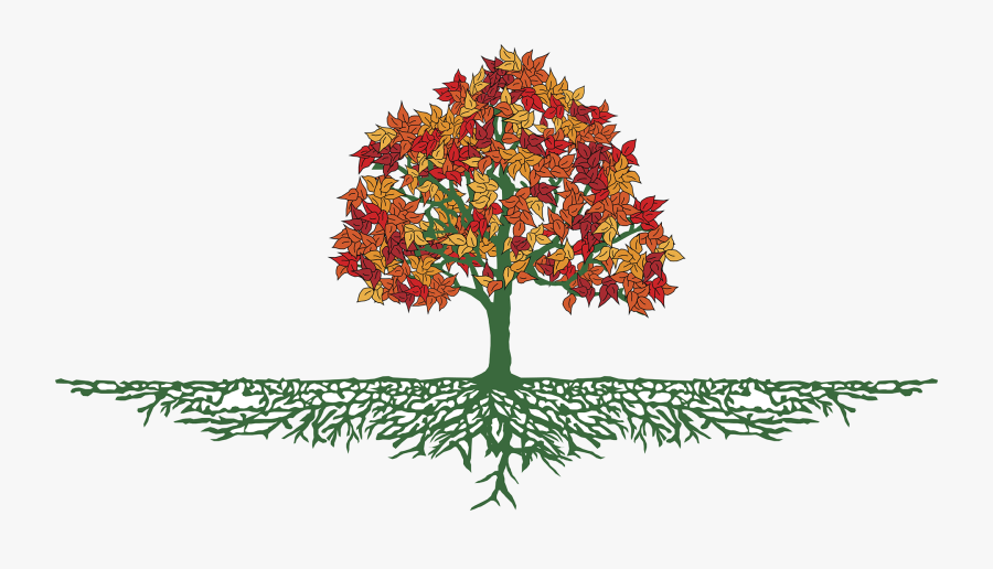 Tree With Roots Png, Transparent Clipart