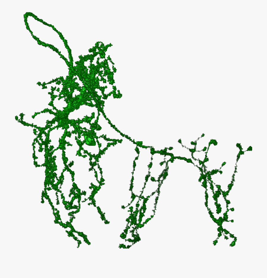 Flycircuit - Illustration, Transparent Clipart