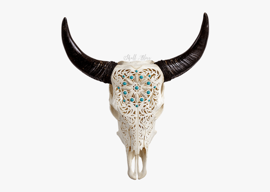 Clip Art Bull Head Skulls - Skull Decorative Bull Head, Transparent Clipart