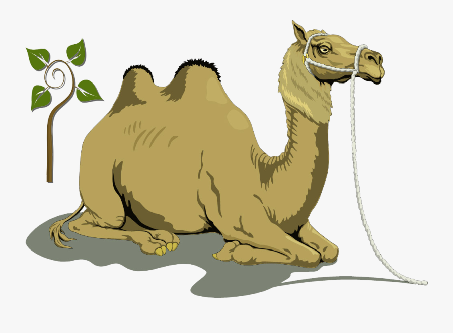 Camels Clipart Transparent - Camel Clipart, Transparent Clipart