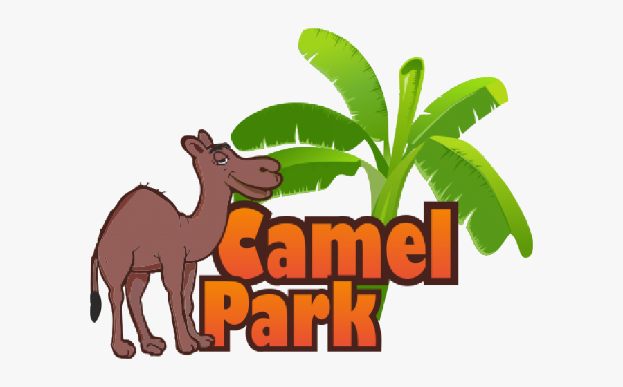 Transparent Camels Clipart - Camel Park Tenerife Logo, Transparent Clipart