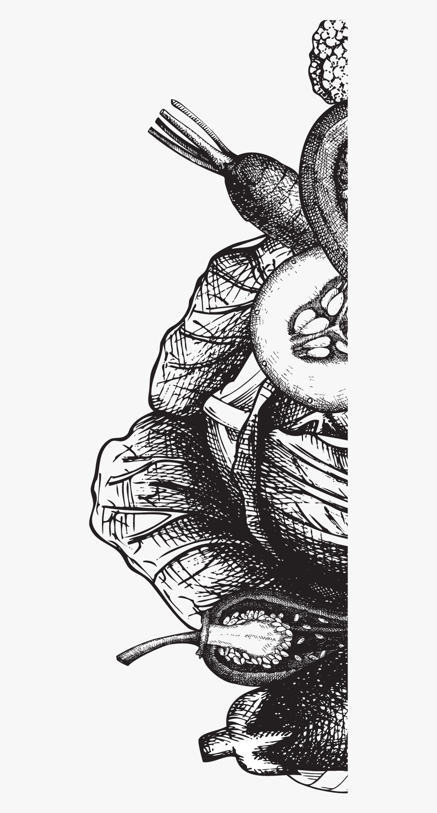 Milk Honey Nashville - Illustration, Transparent Clipart