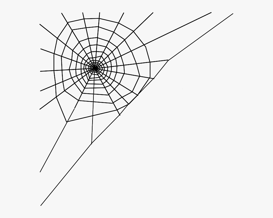 Corner Spider Web Png, Transparent Clipart