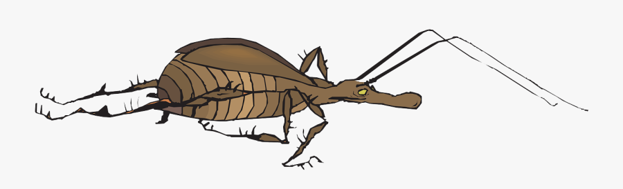 Wings Free Vector Graphic - Inseto Correndo, Transparent Clipart