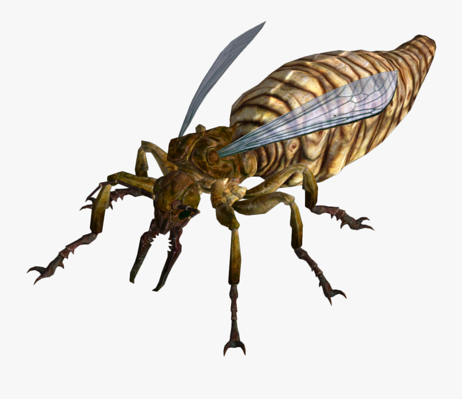 Cricket Bug Clipart, Transparent Clipart