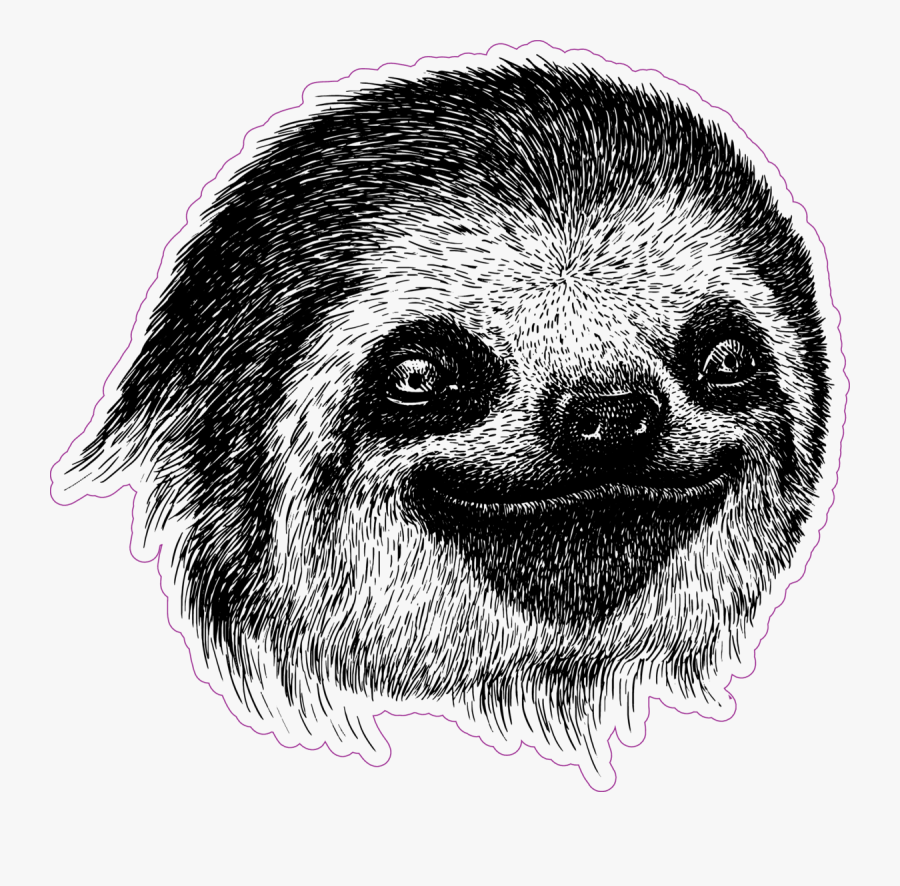 Sloth Face Png - Black And White Sloth Drawing, Transparent Clipart
