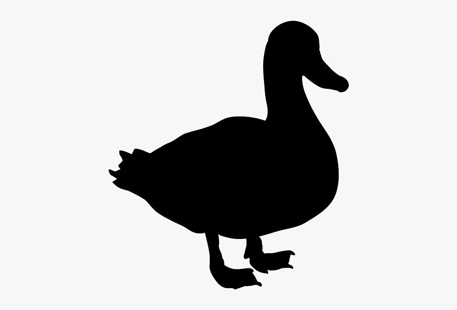 Transparent Mallard Duck Png Cartoon, Transparent Clipart, - Clip Art, Transparent Clipart