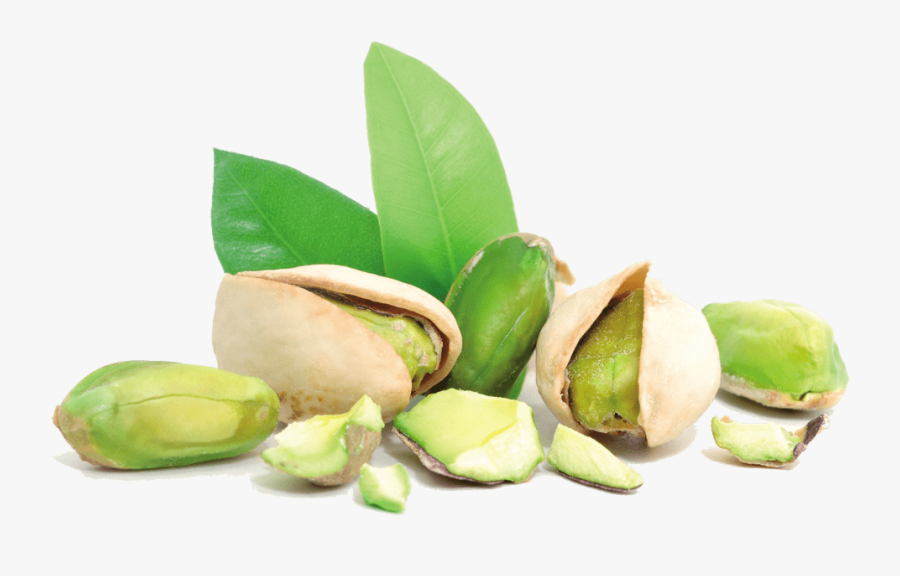 Pistachio And Leaves - Pistachio Png, Transparent Clipart
