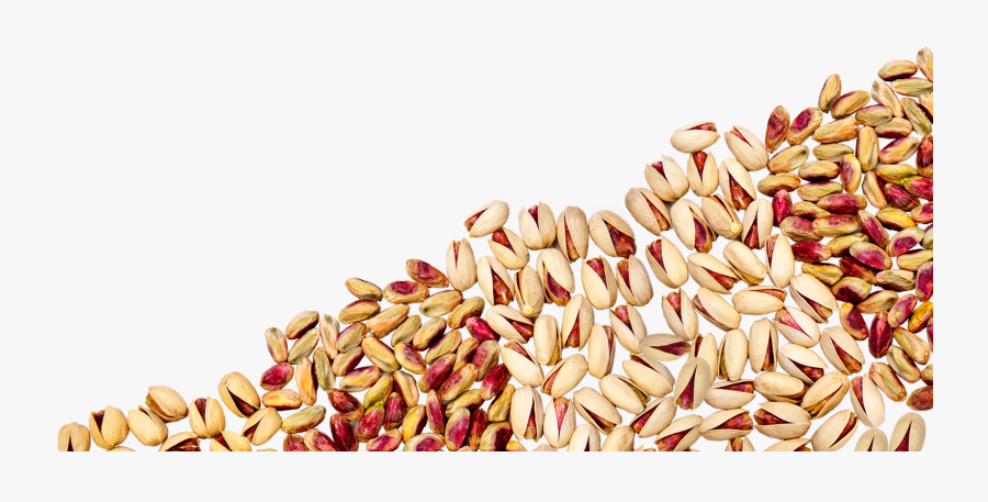 Pistachios Png Image, Transparent Clipart