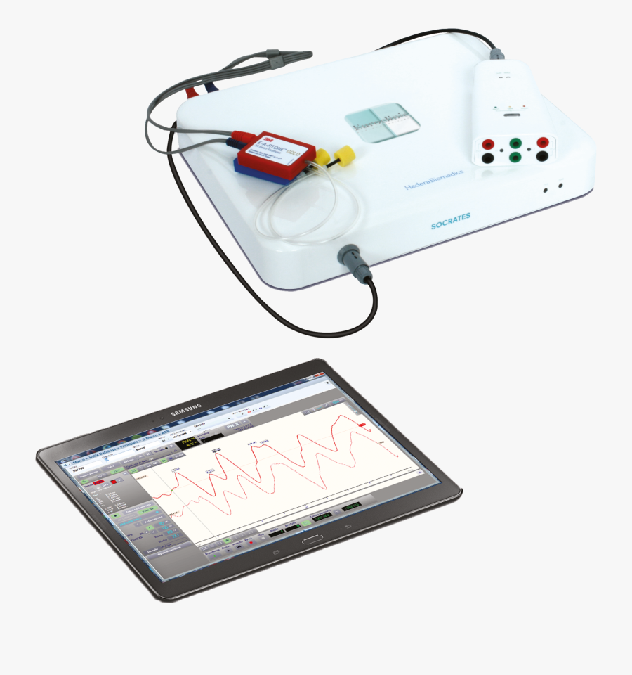 Auditory Evoked Potentials Mod, Transparent Clipart