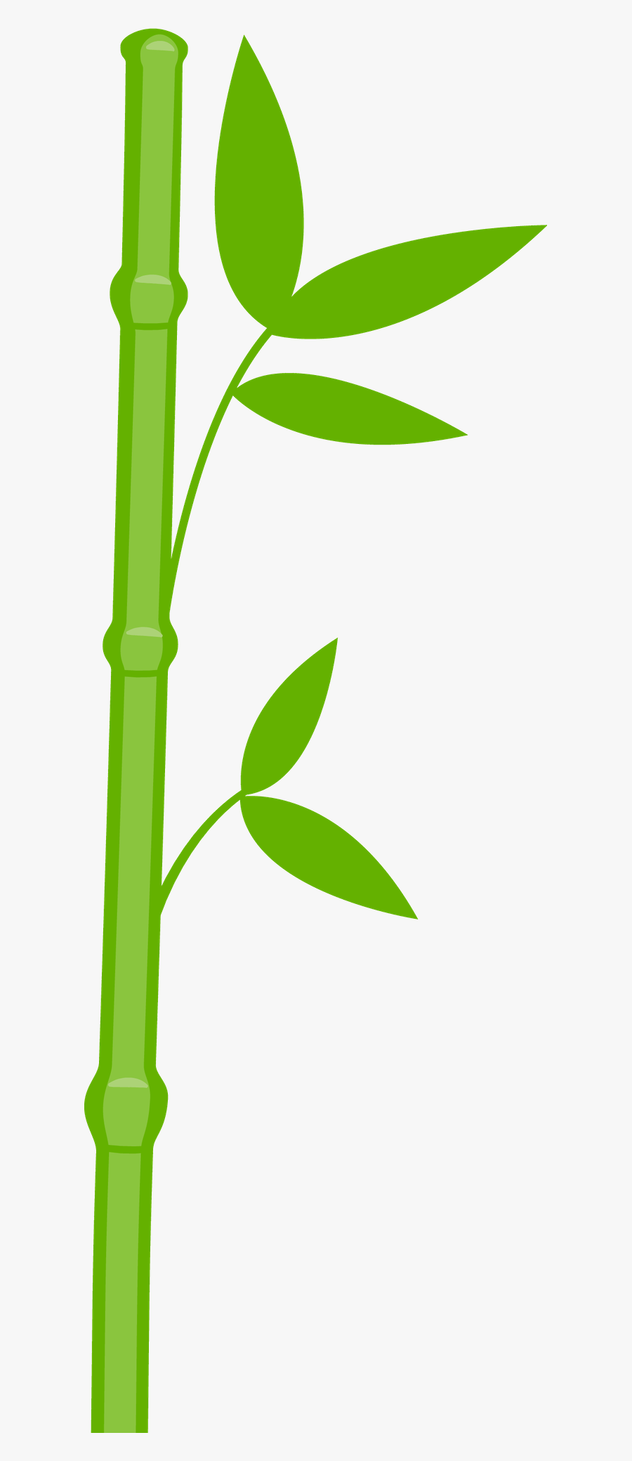 Bear Png Minus Already - Bamboo Stick Clipart, Transparent Clipart