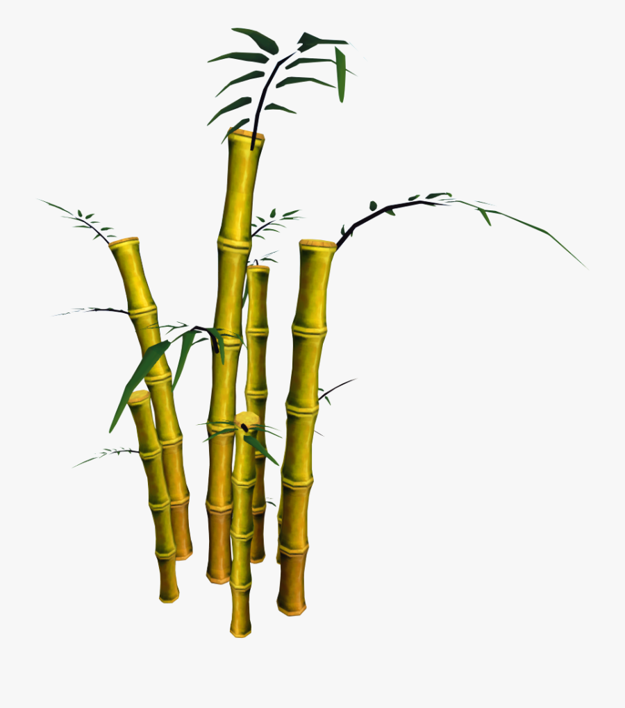 Bamboo - Transparent Background Bamboo Png, Transparent Clipart
