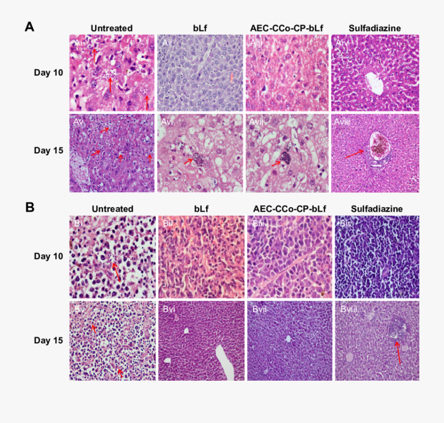 Transparent Post It Notes Png, Transparent Clipart