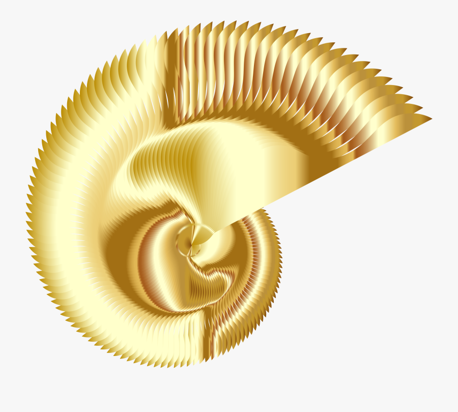 Colorful Nautilus Line Art 3 Clip Arts - Clip Art, Transparent Clipart