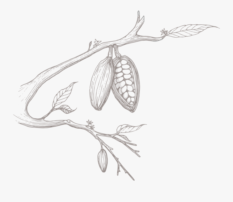 Transparent Candy Bar Clipart, Transparent Clipart