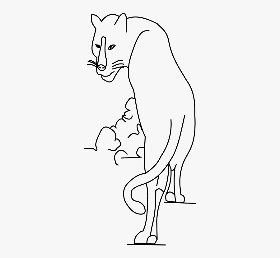 Line Art, Transparent Clipart