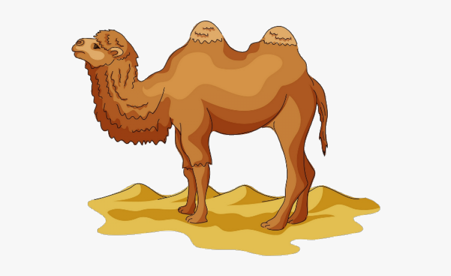 Camel Clipart Simple - Cartoon Pictures Of A Camel, Transparent Clipart