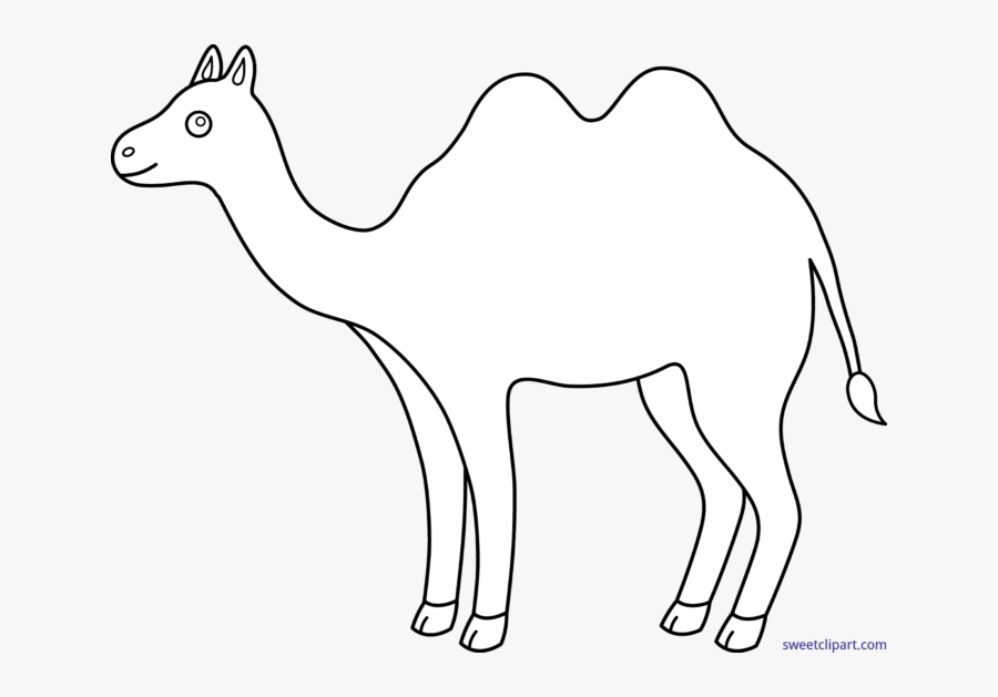 Camel Lineart Black And White - Camel Line Art Clipart, Transparent Clipart