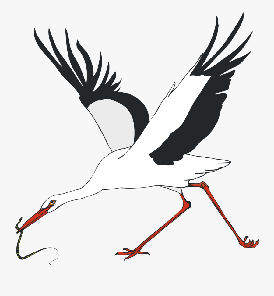White Stork Water Bird Crane - White Stork, Transparent Clipart