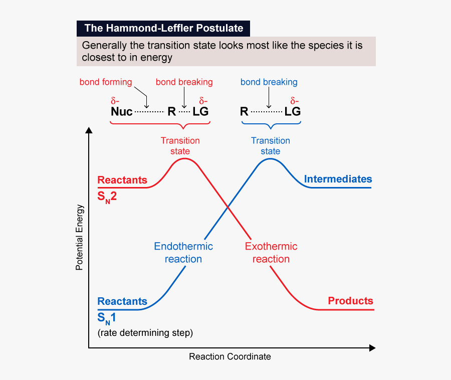 Diagram, Transparent Clipart