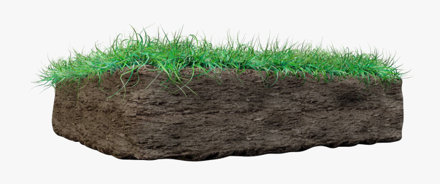 Soil And Grass Png, Transparent Clipart