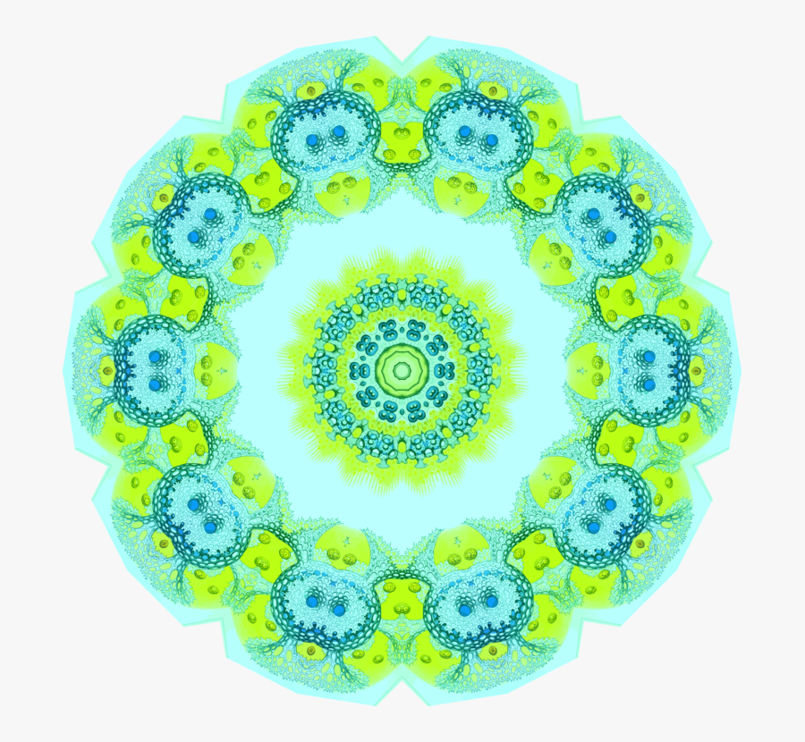 Symmetry,yellow,circle - Circle, Transparent Clipart