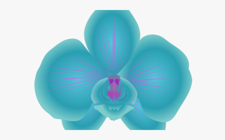 Orchid Clipart Orchid Flower - Blue Orchid Clip Art, Transparent Clipart