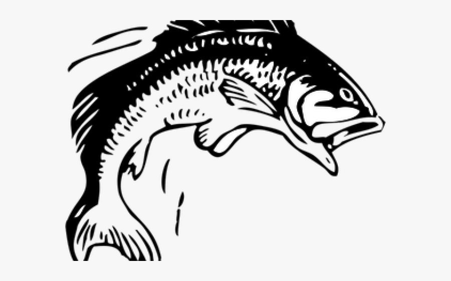 Transparent Fishing Rod Clipart - Fish Jumping Out Of Water Clipart, Transparent Clipart