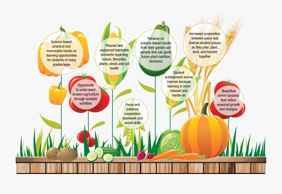 Agriculture Clipart School Garden - Learning Gardens, Transparent Clipart