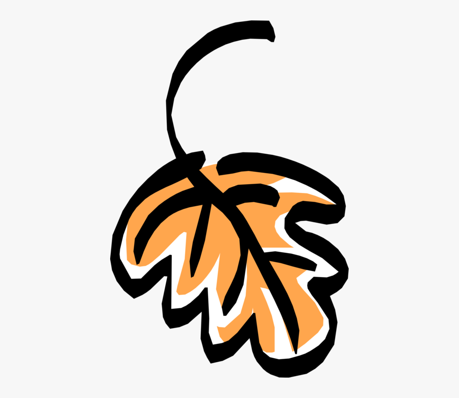 Vector Illustration Of Deciduous Tree Vegetation Oak, Transparent Clipart