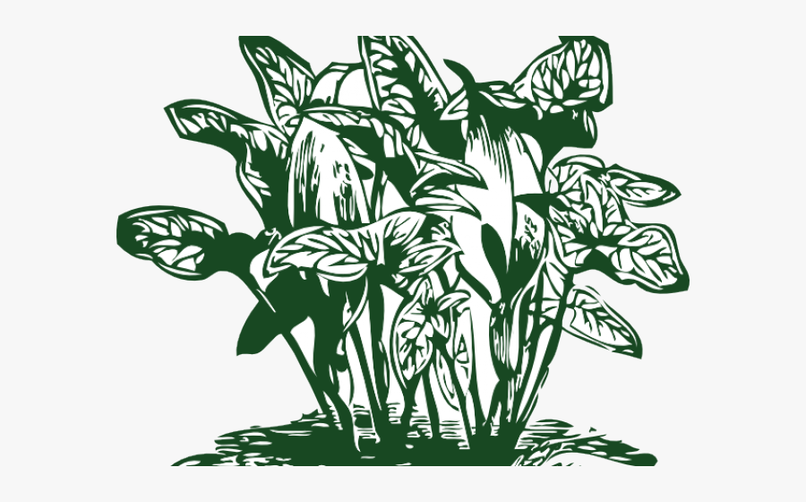 Clip Art Tropical Plants, Transparent Clipart