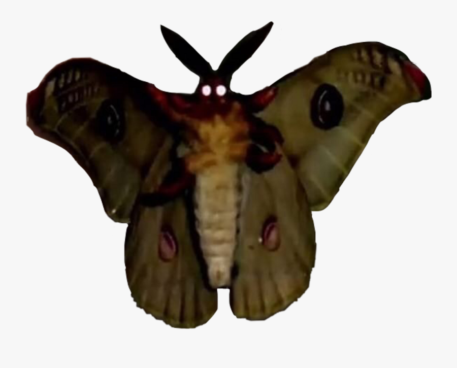 Moth Meme Png, Transparent Clipart