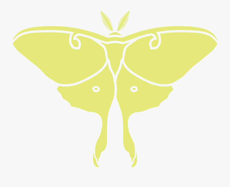 Butterfly, Transparent Clipart