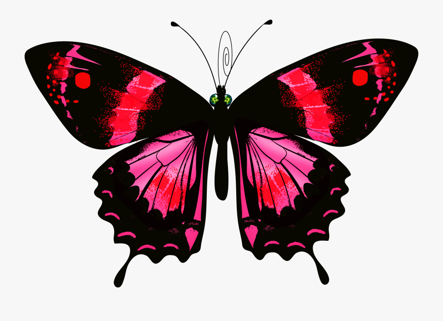 Luna Moth Clipart Transparent, Transparent Clipart