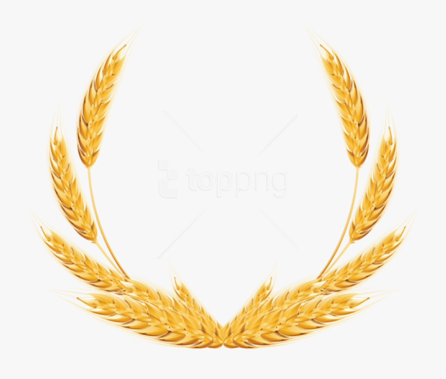Free Png Download Wheat Png Images Background Png Images - Wheat Png, Transparent Clipart