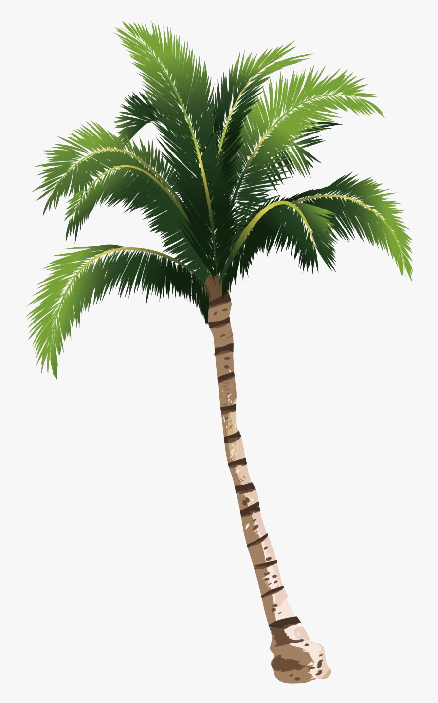 Transparent Coconut Tree Png, Transparent Clipart