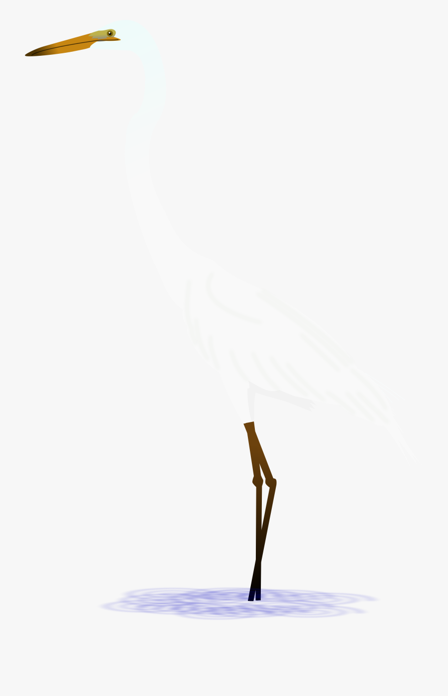 Great Egret, Transparent Clipart